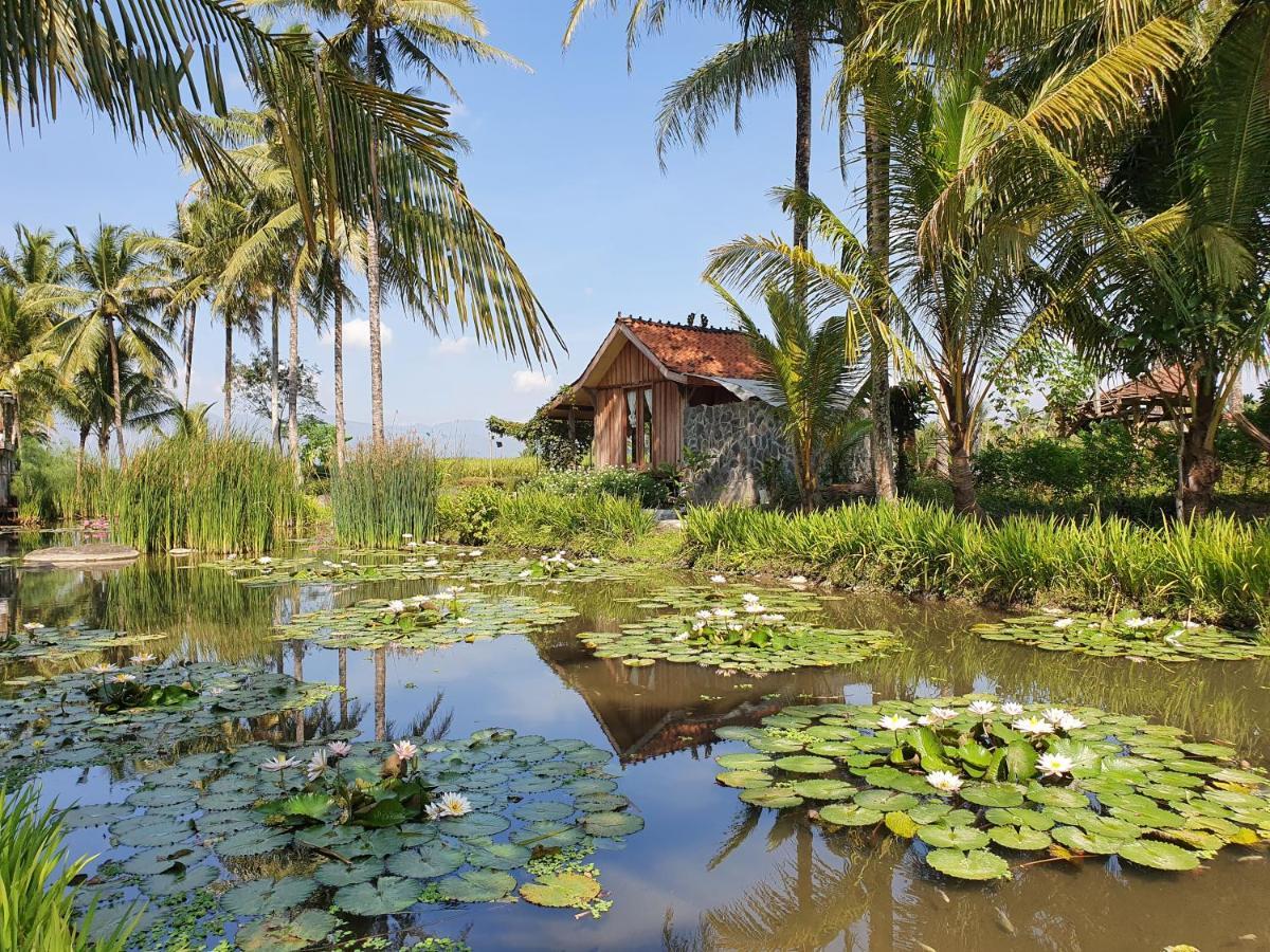 Borobudur Bed & Breakfast Magelang Dış mekan fotoğraf