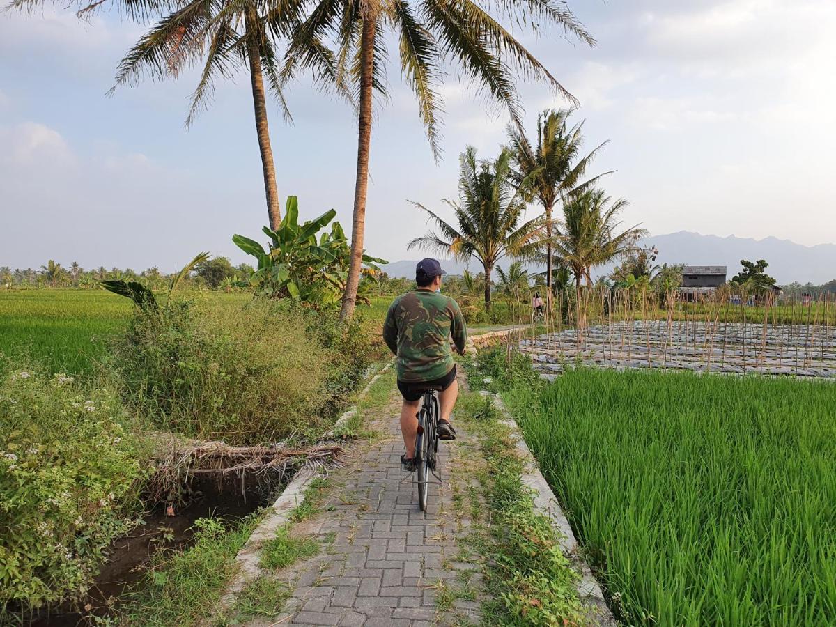 Borobudur Bed & Breakfast Magelang Dış mekan fotoğraf