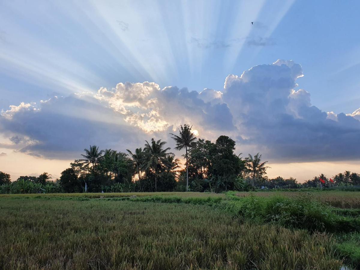 Borobudur Bed & Breakfast Magelang Dış mekan fotoğraf