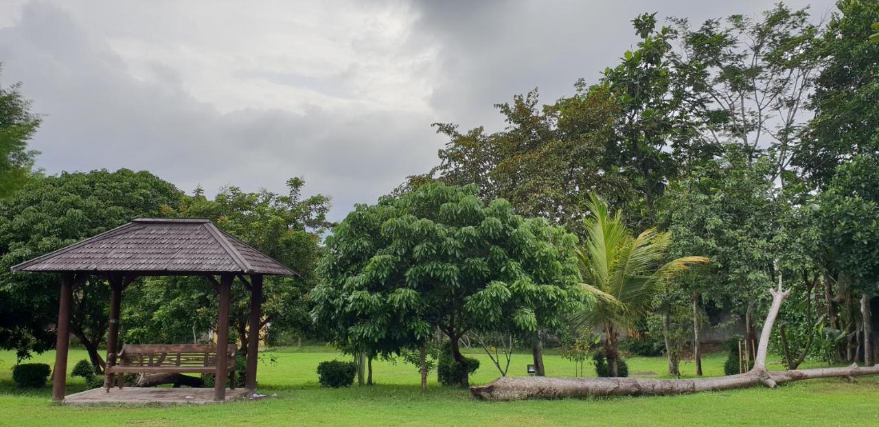 Borobudur Bed & Breakfast Magelang Dış mekan fotoğraf