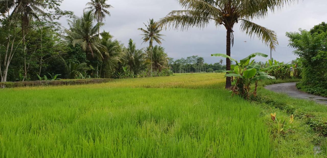 Borobudur Bed & Breakfast Magelang Dış mekan fotoğraf