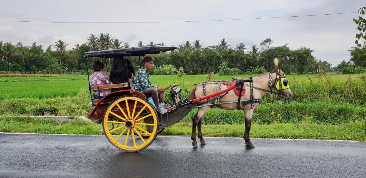 Borobudur Bed & Breakfast Magelang Dış mekan fotoğraf