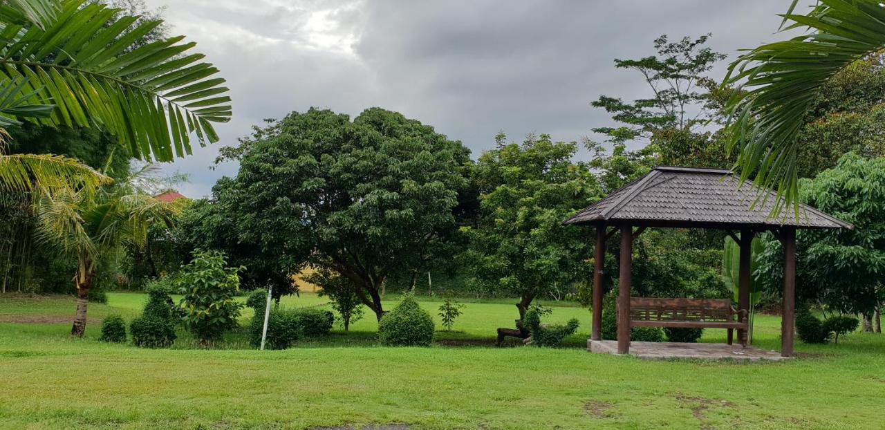 Borobudur Bed & Breakfast Magelang Dış mekan fotoğraf